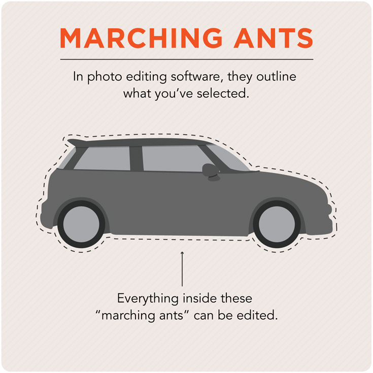 marching ants