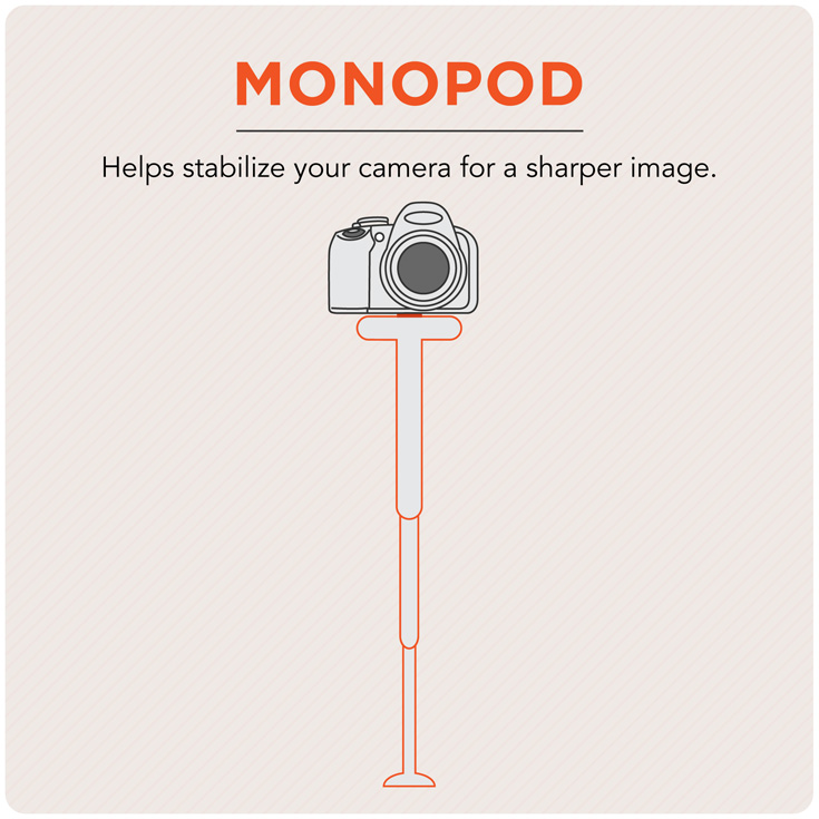 monopod