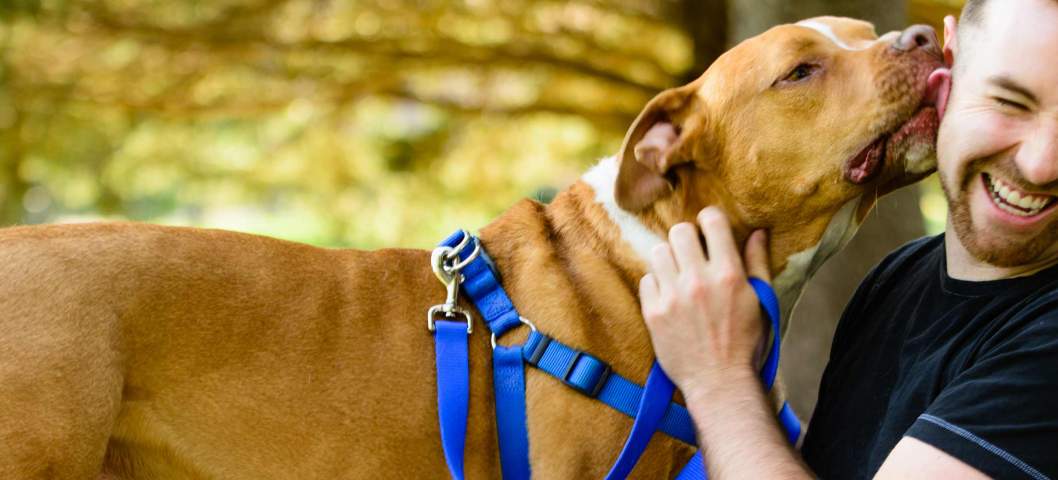 man playing with his dog