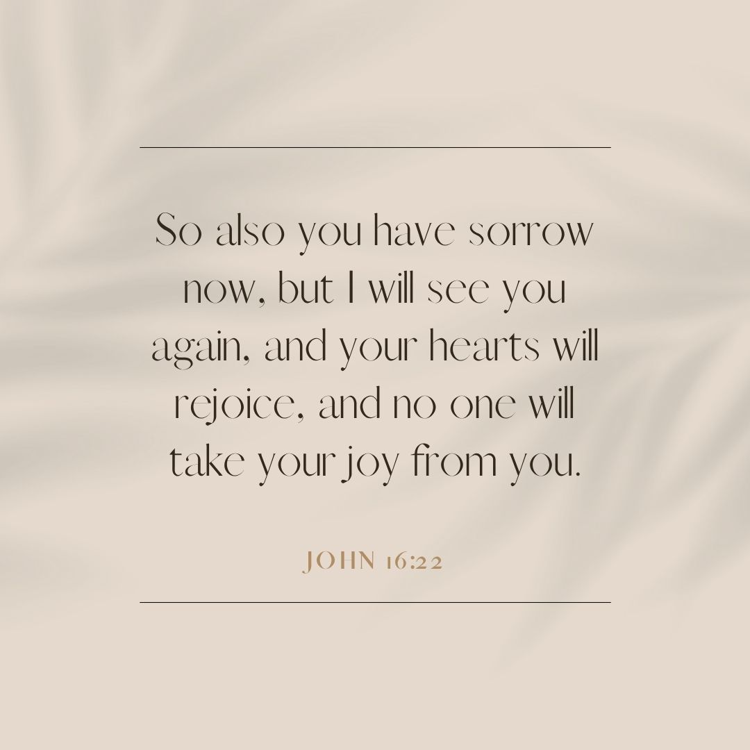 “So also you have sorrow now, but I will see you again, and your hearts will rejoice, and no one will take your joy from you.” – John 16:22