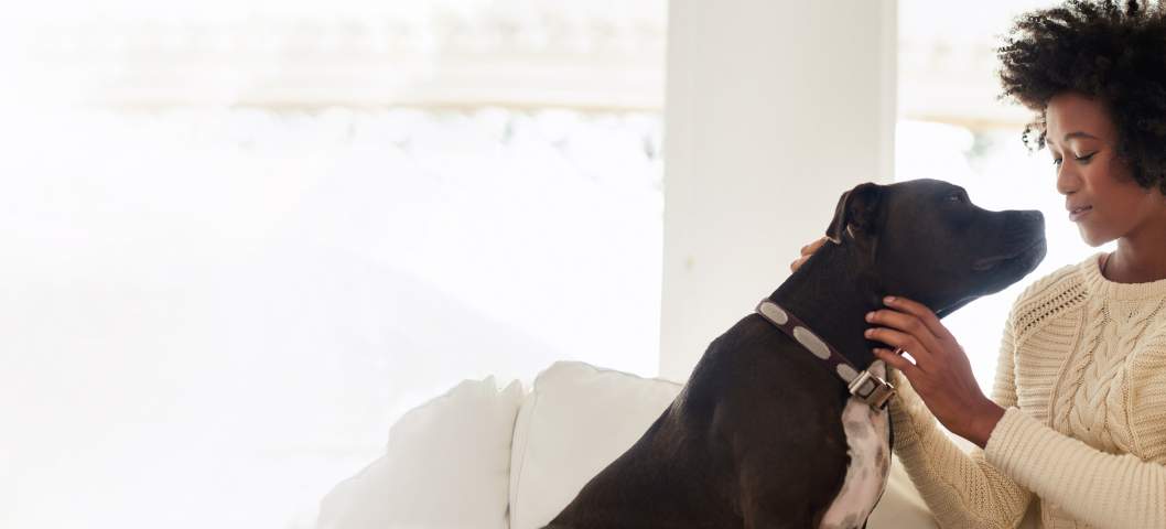 dog with owner on couch