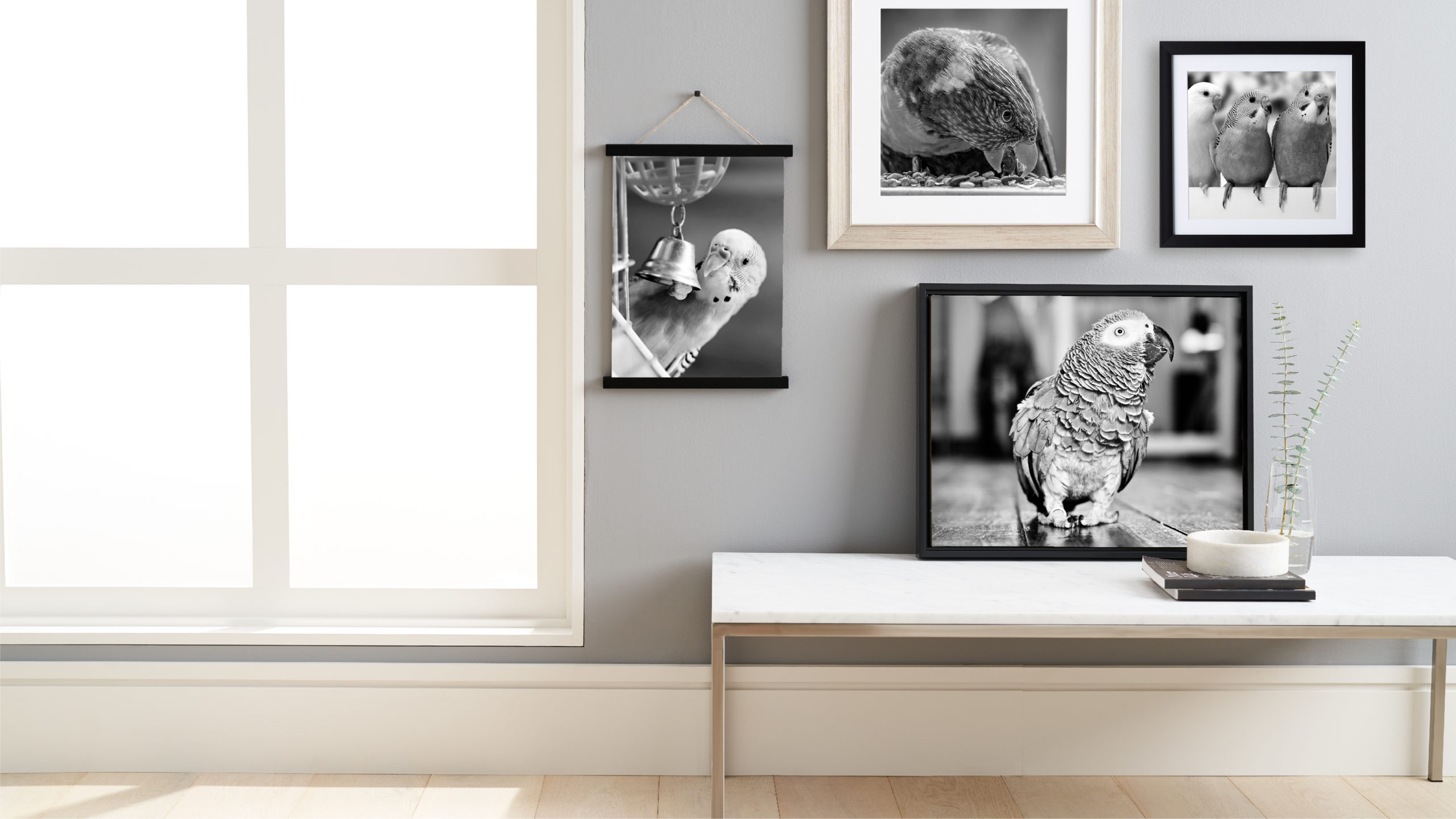 Bird Art And Prints