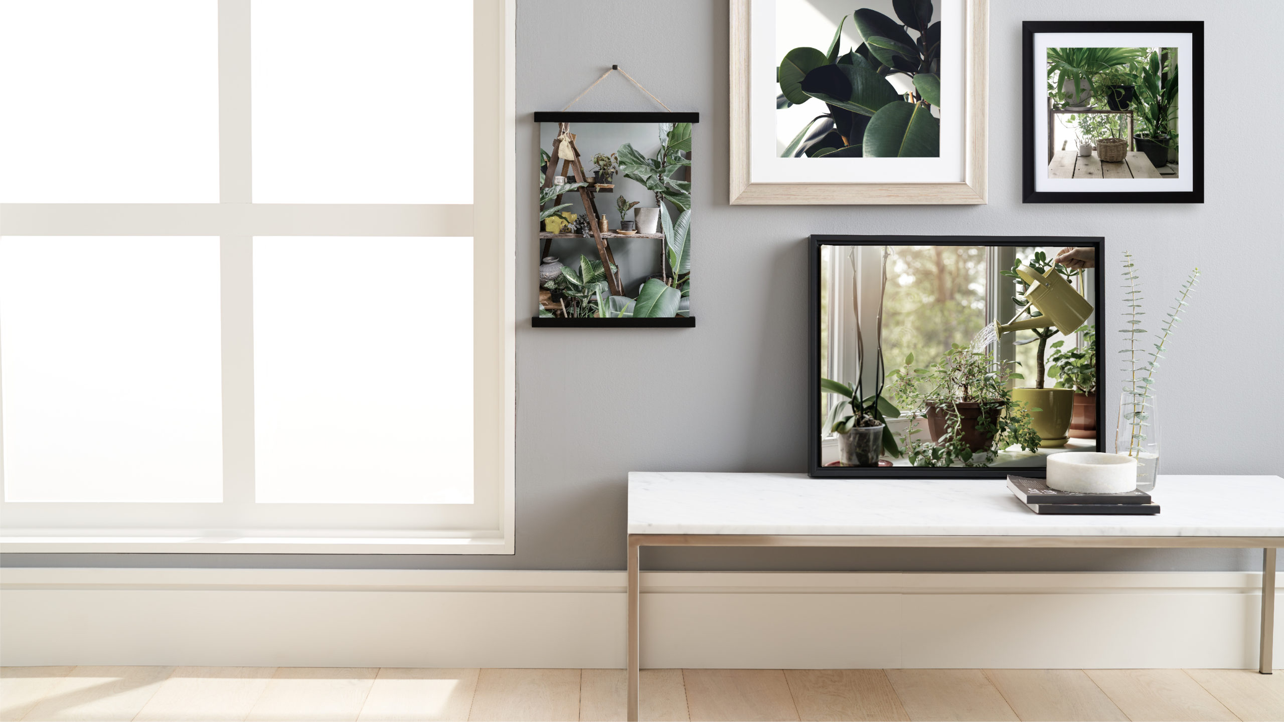 Plant Babies Art And Prints
