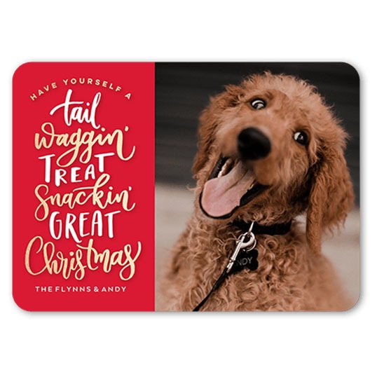 A tail wagging time christmas card with cute happy brown dog