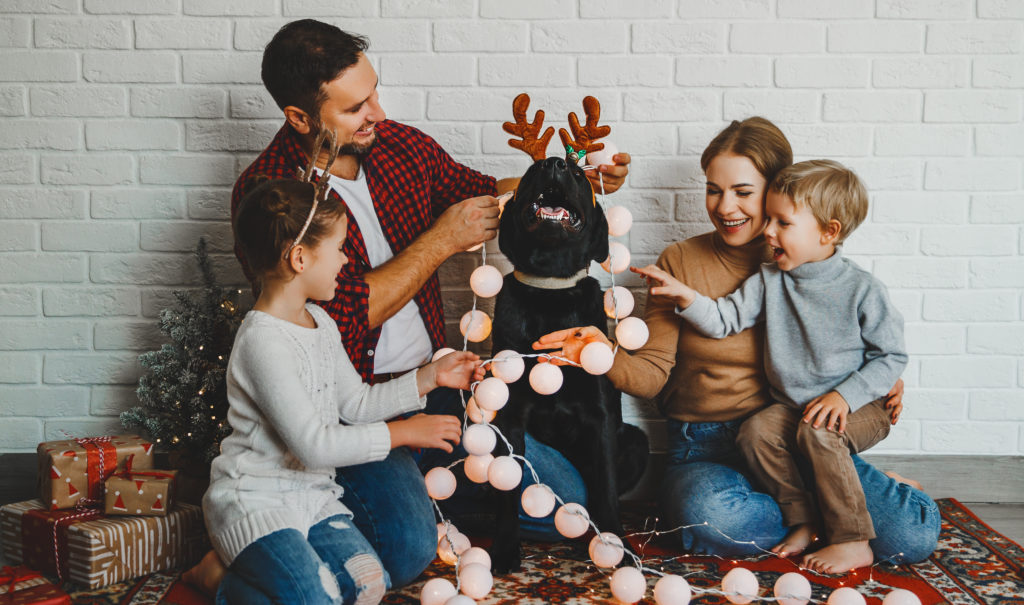 Christmas holiday family photo with parents kids and dog all at the same level