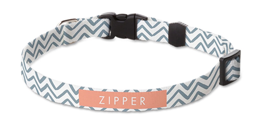 Custom pet collar