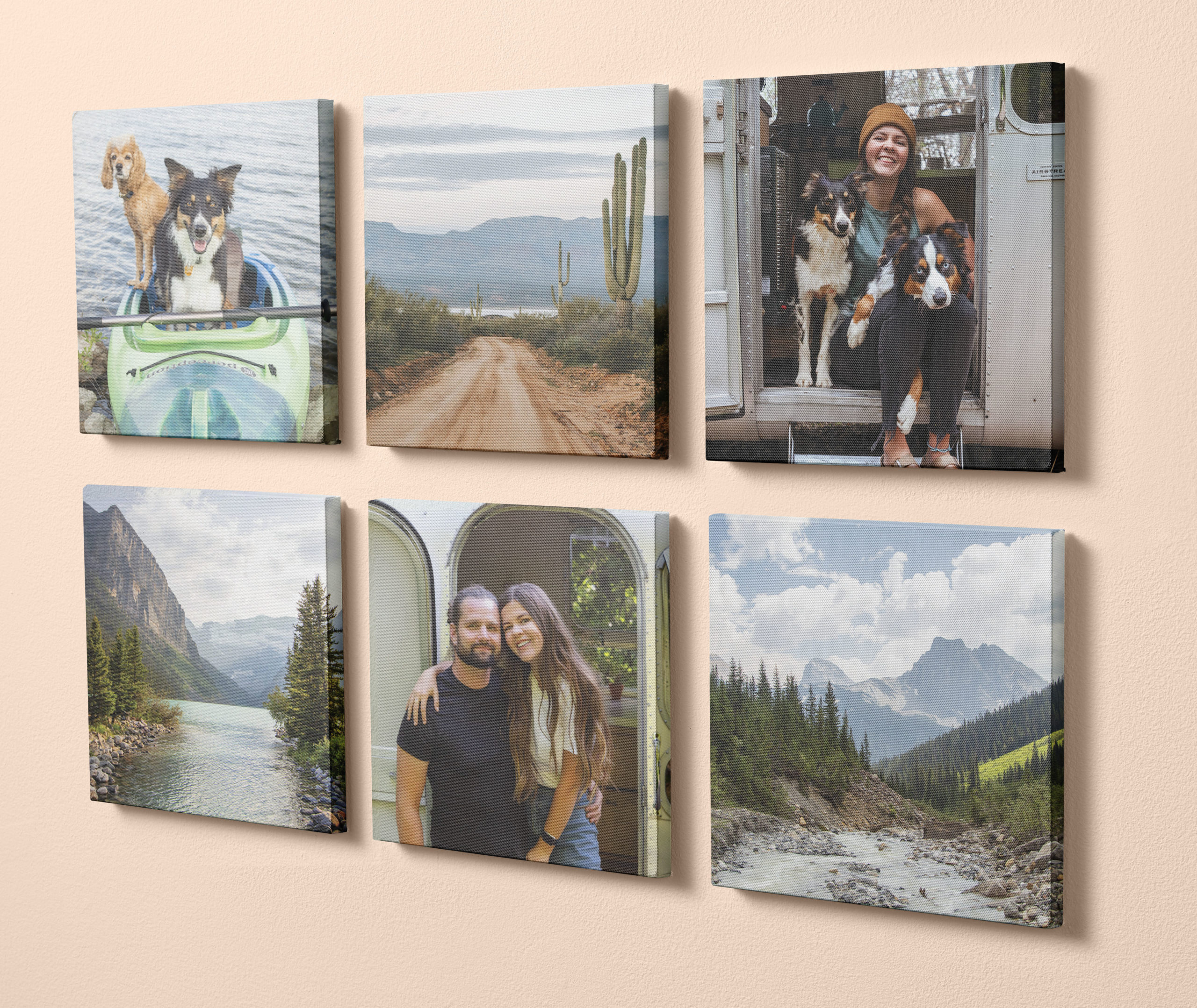 Gallery of six canvas prints featuring a couple with their two dogs on a nature excursion