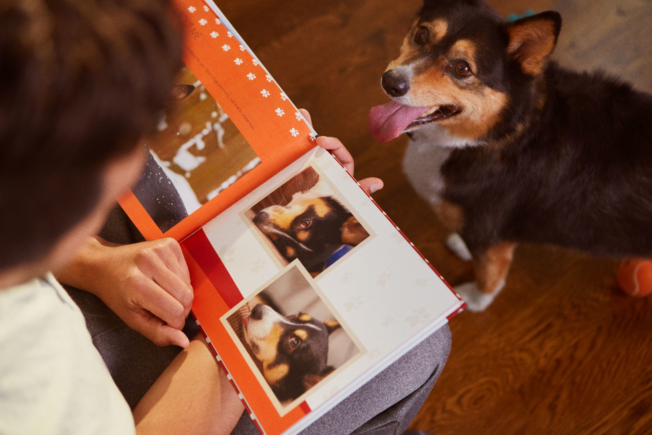 pet photo book