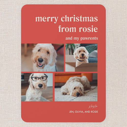 dog christmas card