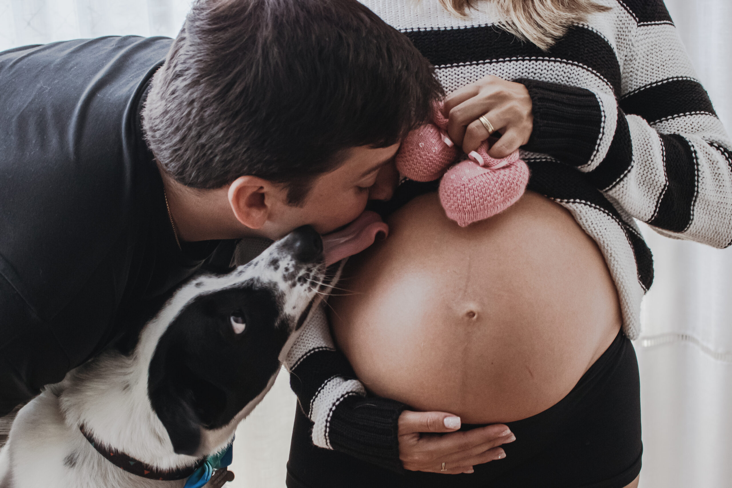 a woman announcing her pregnancy with her bump and the father and dog are kissing her 