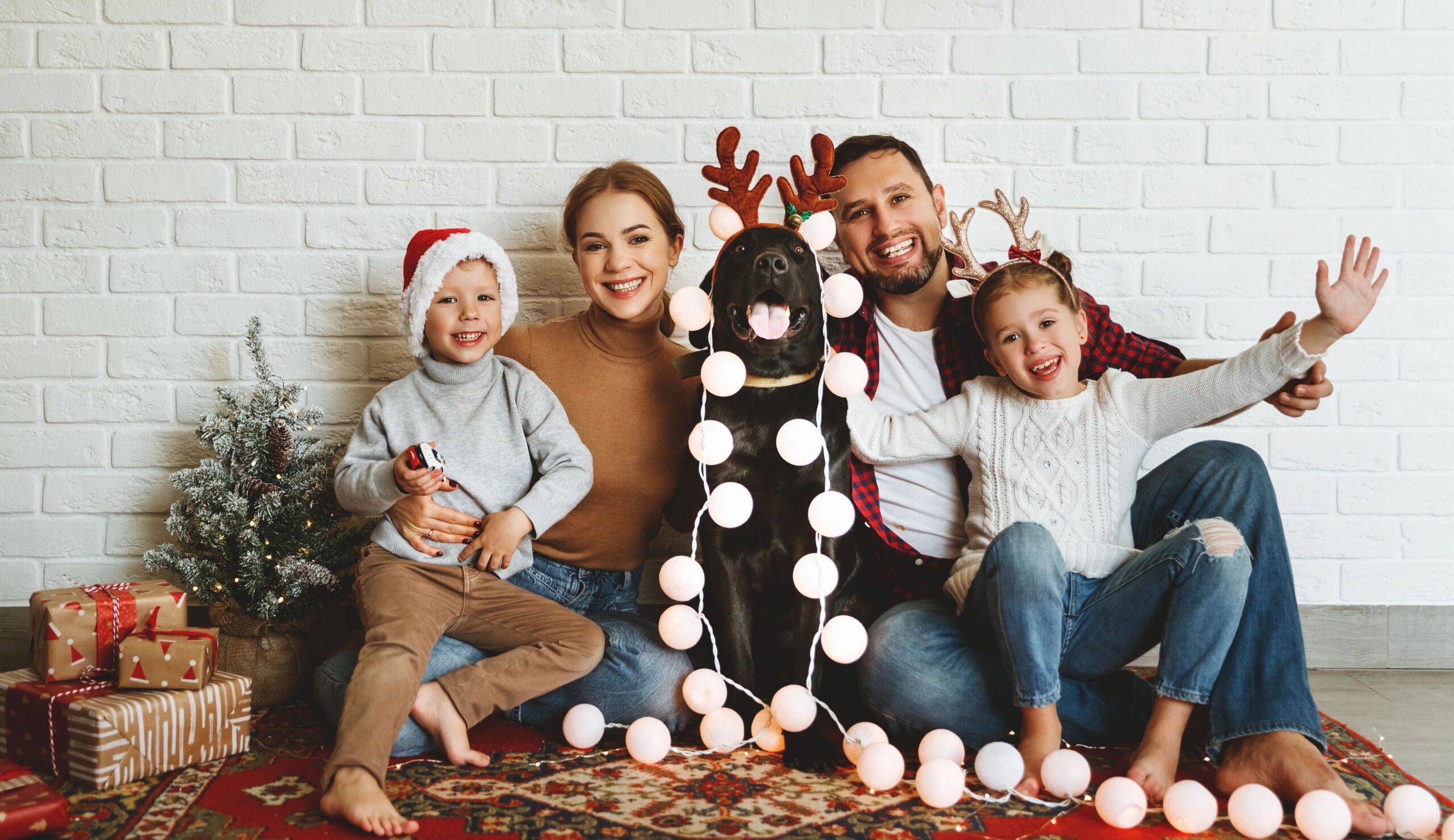 family and dog posing for christmas photo