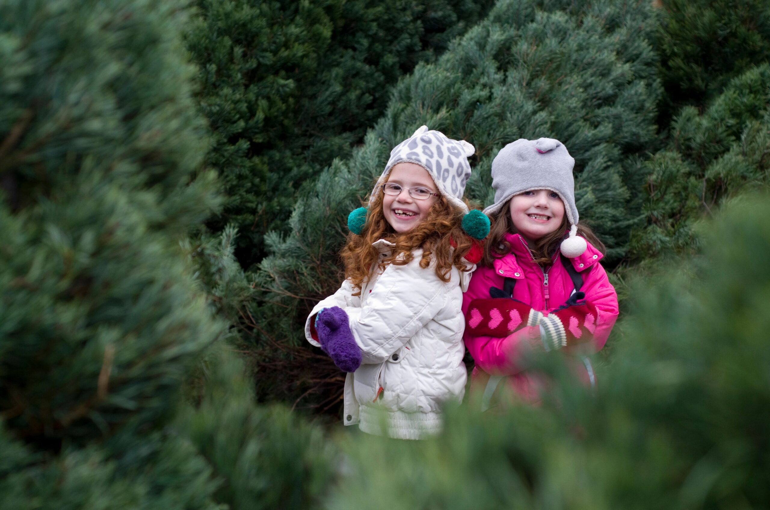 two young girls posing in a christmas tree farm