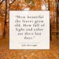 Fall Statements 80+ Fall Quotes & Sayings to Celebrate Autumn | Shutterfly