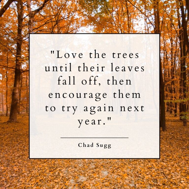Inspirational fall quote graphic celebrating the autumn season in a decorative frame