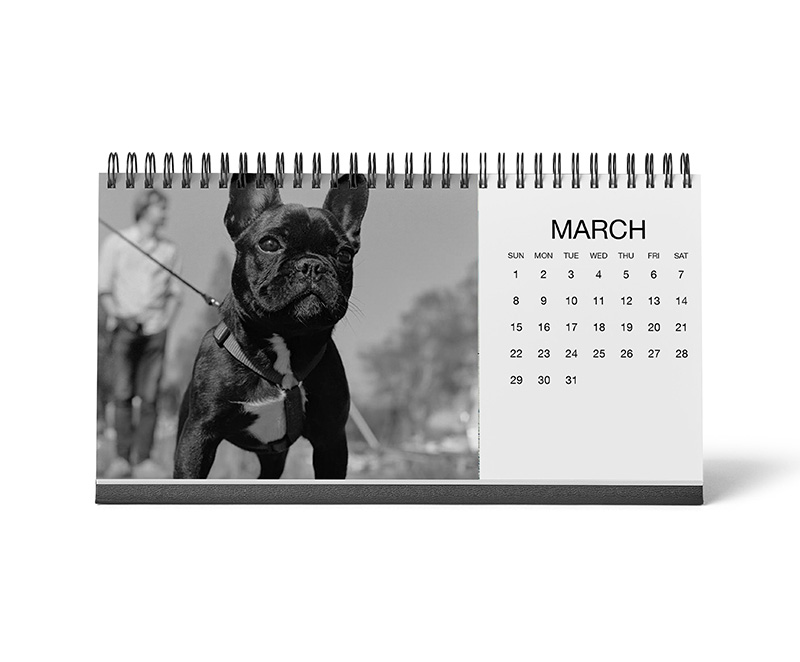 desk calendar with dog photo