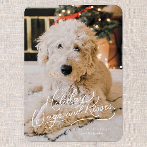 christmas card with picture of dog posing in front of christmas tree