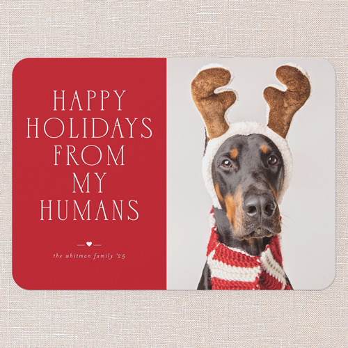 christmas card with photo of a dog wearing reindeer antlers