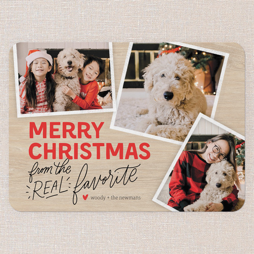 christmas card with pictures of kids and a dog