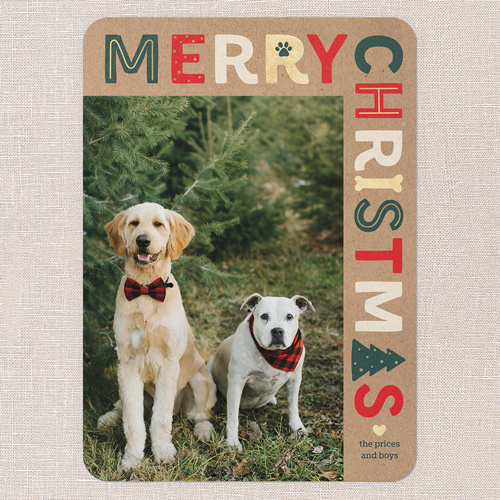 christmas card with picture of two dogs outside wearing festive accessories