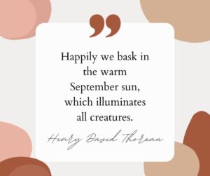 Septembrie Message 65 September Quotes & Captions to Welcome Fall | Shutterfly