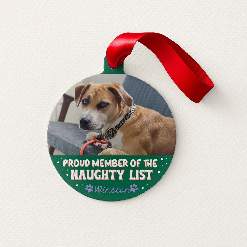 pet ornament with photo of a dog and naughty list design template