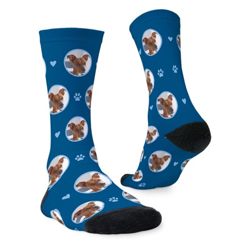 photo socks with pictures of a dog