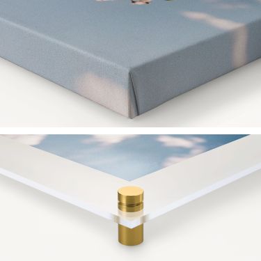 canvas print vs acrylic print featured