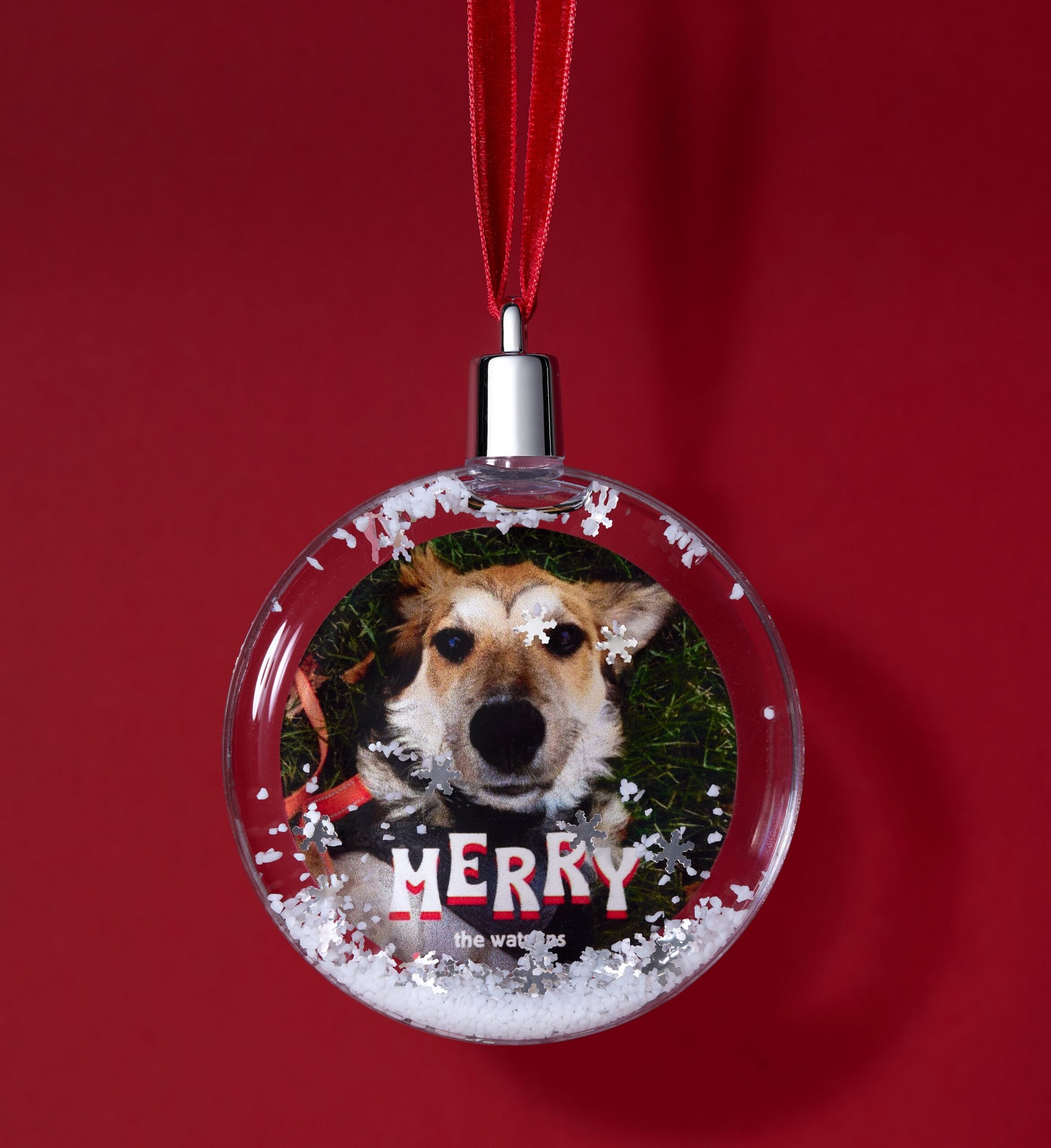 pet snow globe ornament