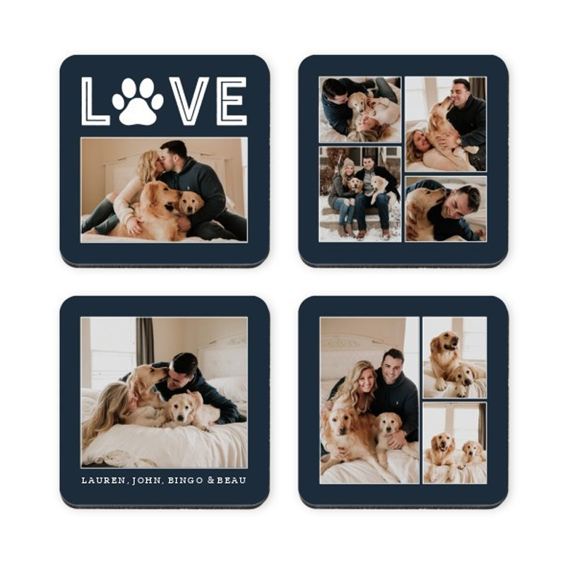 set of dog-themed photo coasters