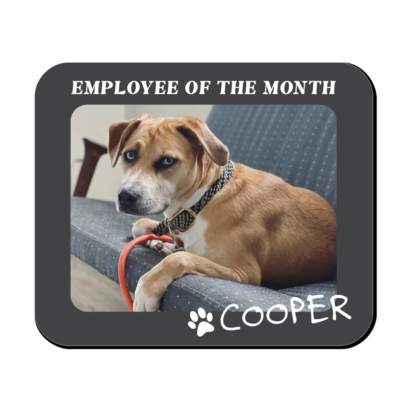 employee of the month pet mouse pad