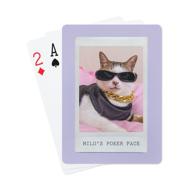 pet playing cards