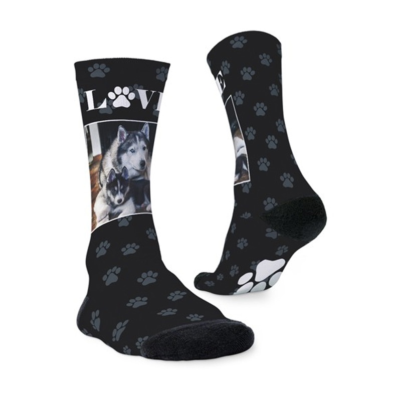 pet photo socks